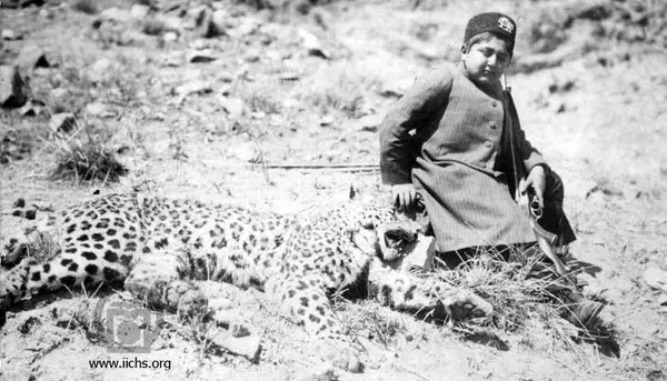 [2411- 1ع]
احمد شاه نوجوان که با شجاعت دست بر سر پلنگي شکار شده دارد و عکسي به يادگار گرفته است