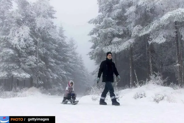 بلژیک