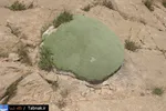 تابناک