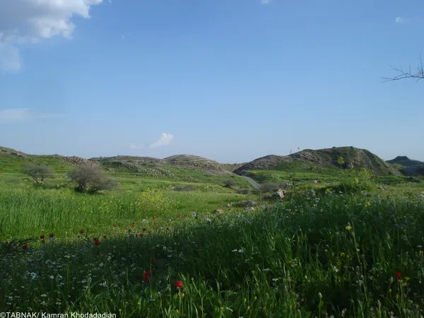 دشت اطراف دریاچه سیاه گاو
