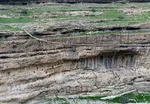 تابناک
