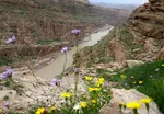 تابناک
