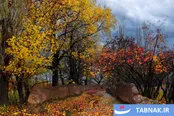 عکس: پاییز آذربایجان‌ غربی؛ هزاررنگِ بی‌تکرار