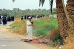 تابناک