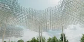 شاهکار معماران ژاپنی در نمایشگاه اکسپو ۲۰۲۵