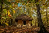 عکس: گیلان به رنگ پاییز