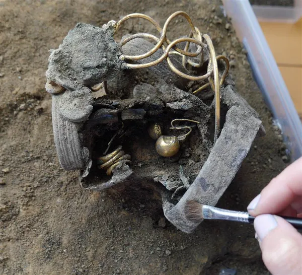 کشف جواهرات متعلق به ده ها قرن پیش در زیر زمین خانه ای در بریتانیا./COLCHESTER ARCHAEOLOGICAL TRUST
