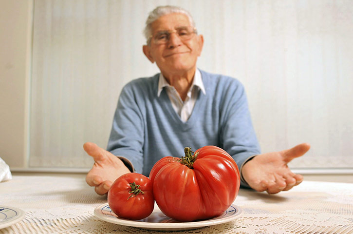 Giant Vegtables