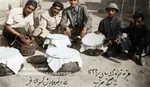بازخوانی تاریخ/ایرانی ها چطور با تریاک آشنا شدند؟