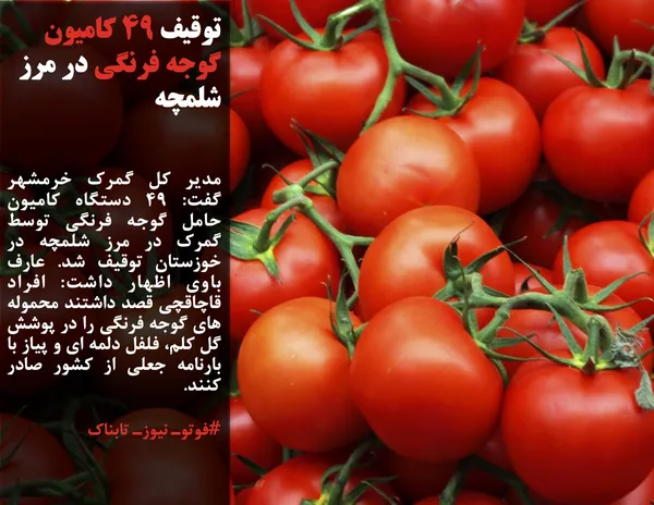 مدیر کل گمرک خرمشهر گفت: 49 دستگاه کامیون حامل گوجه فرنگی توسط گمرک در مرز شلمچه در خوزستان توقیف شد. عارف باوی اظهار داشت: افراد قاچاقچی قصد داشتند محموله های گوجه فرنگی را در پوشش گل کلم، فلفل دلمه ای و پیاز با بارنامه جعلی از کشور صادر کنند.
