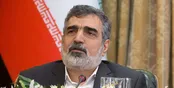کمالوندی: به سئوالات غیرحقوقی آژانس پاسخ نمی‌دهیم
