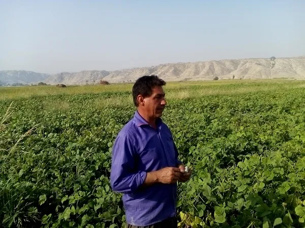 کشاورزی