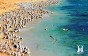 ساحل زیبای کیش