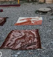 پلنگی که از انبار هسته‌ای تورقوز‌آباد محافظت می‌کند
