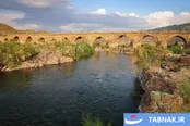 کرانه رود ارس