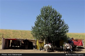 تابناک
