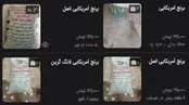 تصاویر عرضه برنج آمریکایی در بازار ایران!
