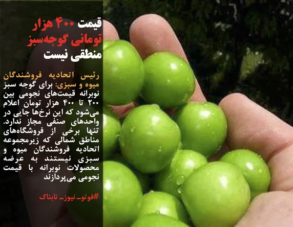 رئیس اتحادیه فروشندگان میوه و سبزی: برای گوجه سبز نوبرانه قیمت&zwnj;های نجومی بین ۲۰۰ تا ۴۰۰ هزار تومان اعلام می&zwnj;شود که این نرخ&zwnj;ها جایی در واحدهای صنفی مجاز ندارد. تنها برخی از فروشگاه&zwnj;های مناطق شمالی که زیرمجموعه اتحادیه فروشندگان میوه و سبزی نیستند به عرضه محصولات نوبرانه با قیمت نجومی می&zwnj;پردازند
