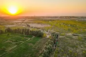 عکس: پیاده روی زائران اربعین به سمت کربلا