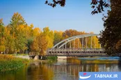عکس: پاییز هزار رنگ باغبادران