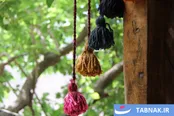 روستا‌های کوهستانی فِشک الموت