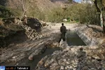 تابناک