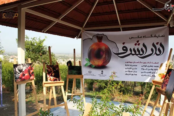 نمایشگاه عکس انار اشرف