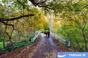 عکس: پاییز دل‌انگیز قره‌داغ