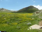 تابناک