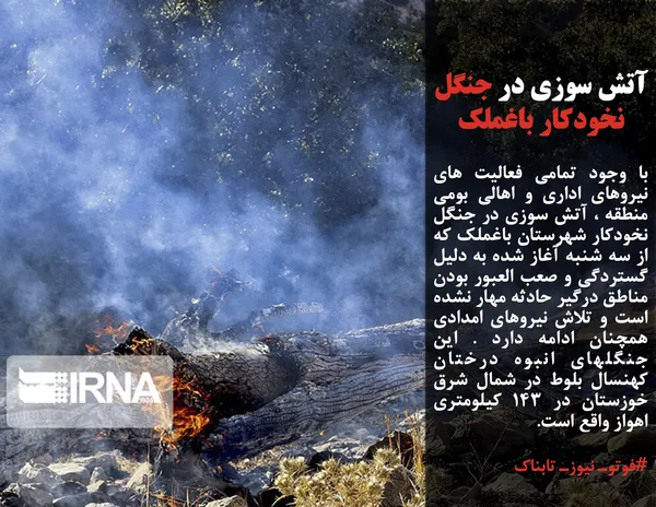 با وجود تمامی فعالیت های نیروهای اداری و اهالی بومی منطقه ،&zwnj; آتش سوزی در جنگل نخودکار شهرستان باغملک که از سه شنبه آغاز شده به دلیل گستردگی و صعب العبور بودن مناطق درگیر حادثه مهار نشده است و تلاش نیروهای امدادی همچنان ادامه دارد . این جنگلهای انبوه درختان کهنسال بلوط در شمال شرق خوزستان در 143 کیلومتری اهواز واقع است.
