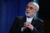 هشدار صالحی؛ تعلل می‌تواند فرصت دیپلماسی را بسوزاند