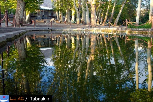 پارک سیفیه