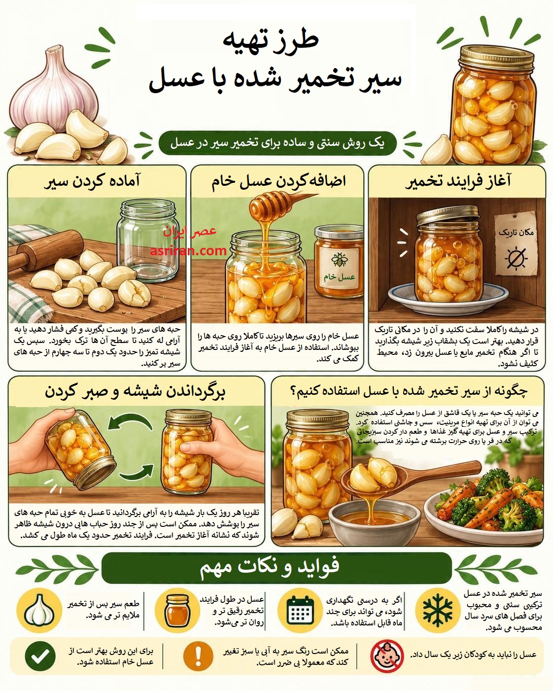 سیر و عسل؛ معجون طلایی یا بمب جانبی! سیر و عسل؛ معجون طلایی یا بمب جانبی!