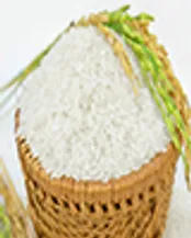تندیس زرین جشنواره برند محبوب به خانواده 