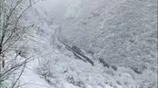 تصاویر تماشایی از کندوان برفی