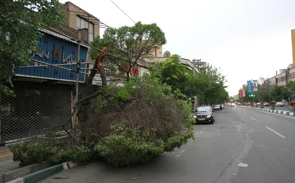 گرد و غبار و توفان عصر جمعه تهران، موجب شکستگی برخی درختان و قطع برق در برخی نقاط پایتخت شد./TABNAK
