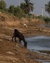 پایان سومین خشکسالی کشور با کاهش ۱۴.۳ درصدی بارش‌ها/ چشم انتظار ترسالی بمانیم یا آهنگ مدیریت منابع آب کشور را تغییر دهیم؟