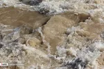 تابناک