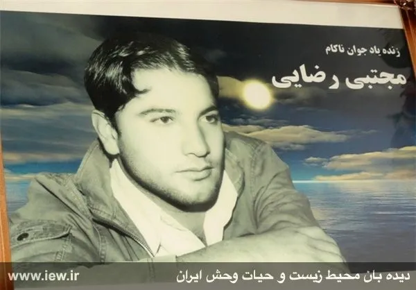 تابناک.