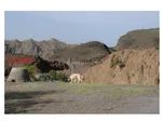 تابناک