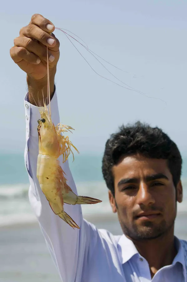 دریا