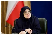 سخنگوی دولت: حمایت‌های مالی در راه است!