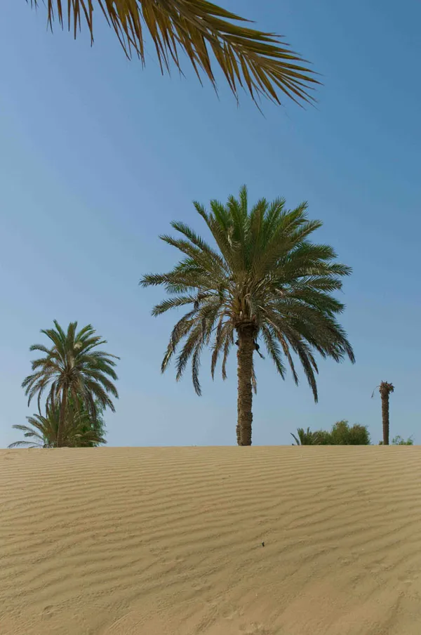 دریا