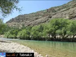 تابناک
