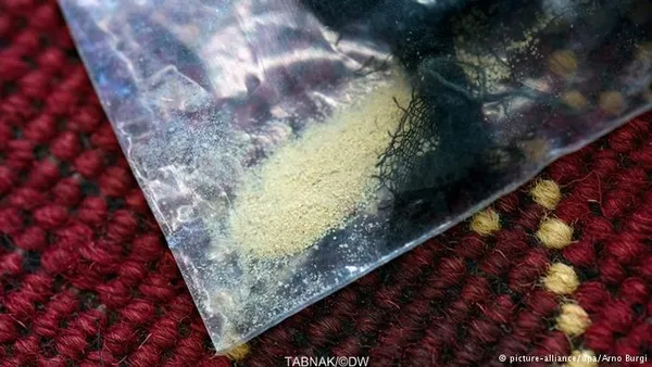 در هر قالیچه ۵ کیلو پودر هروئین جاسازی شده بود و مواد مخدر در ریسمان&zwnj;های نازکی قرار داشتند که در تار و پود کناره&zwnj; فرش&zwnj;ها تنیده شده بودند.