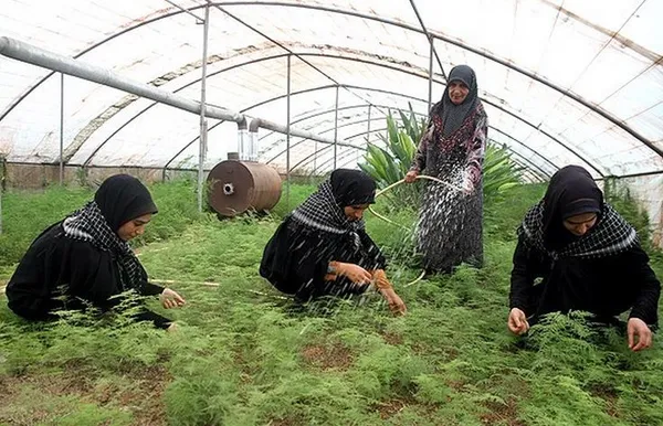 گروه&zwnj;های جهادی با رویکردکار فرهنگی و عمرانی در روستاهای مازندران در حال فعالیت می باشند./FNA

