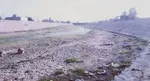 dejleh