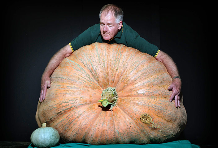 Giant Vegtables