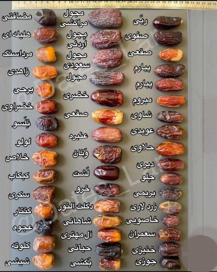 میان وعده شیرین با ارزش غذایی بالا میان وعده شیرین با ارزش غذایی بالا