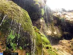 تابناک